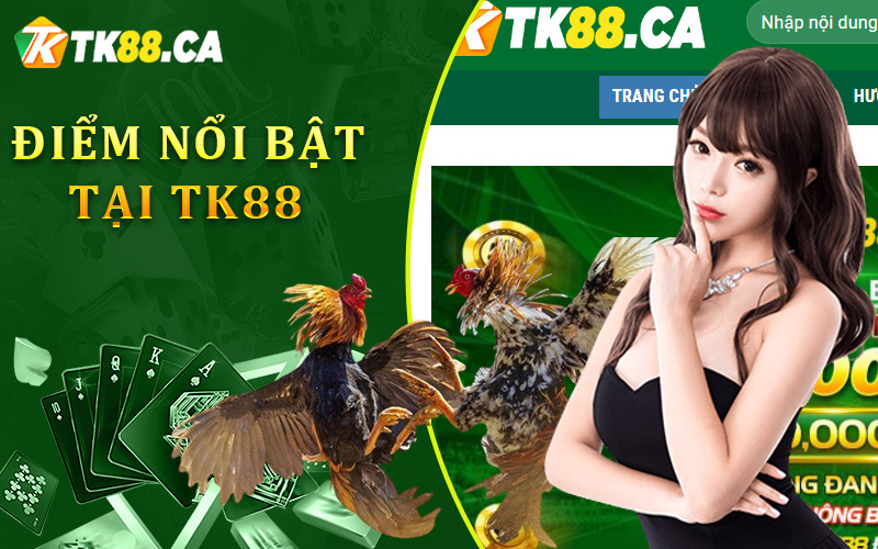 Điểm nổi bật của đá gà trực tuyến tại TK88 khiến hàng triệu người chơi mê mẩn