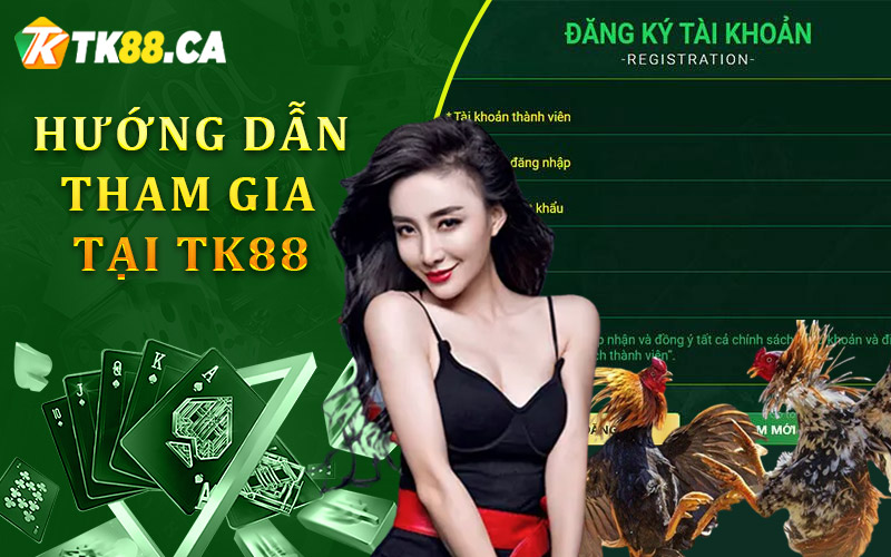 Hướng dẫn tham gia đá gà online tại TK88