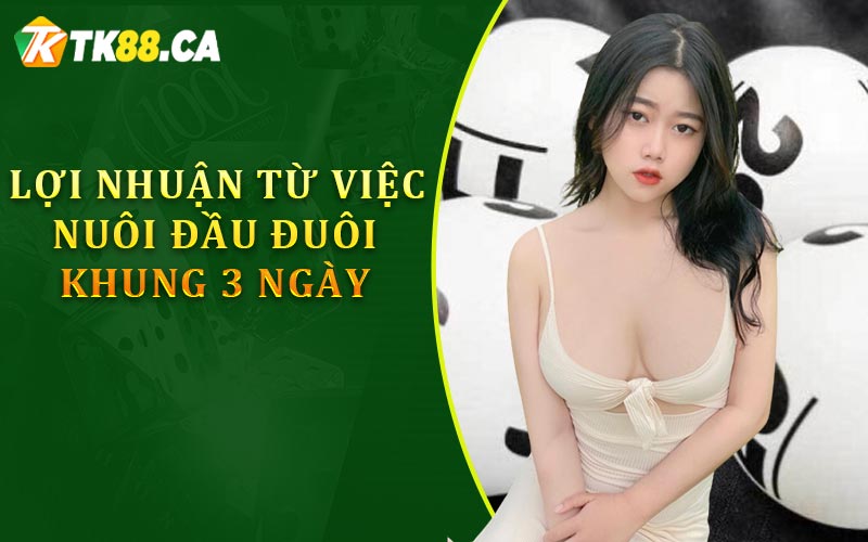 Lợi nhuận từ việc nuôi đầu đuôi khung 3 ngày
